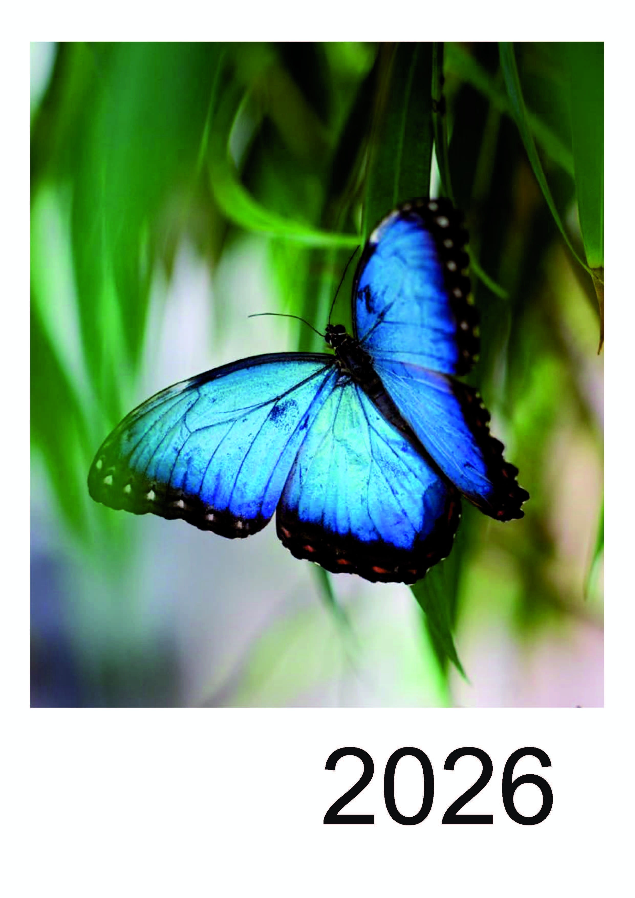 fotokalend345_09_2026_strnka_1_3508