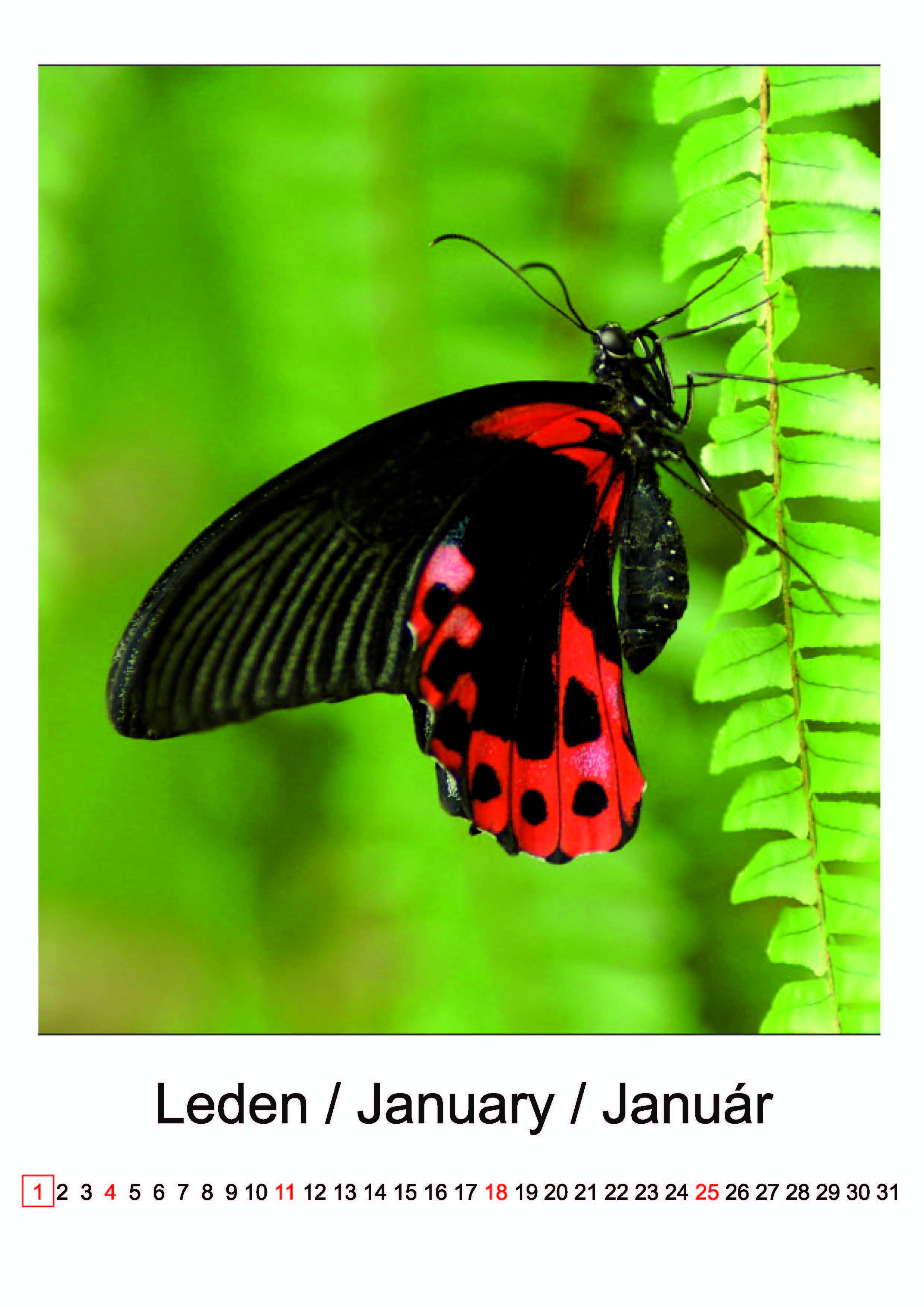 fotokalend345_09_2026_strnka_2_3508