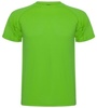 Pánské sportovní PE tričko /zelené kapradí